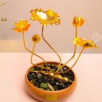 hoa sen phong thủy 10